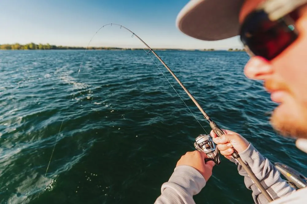 Abu Garcia Zenon Spinning Rod