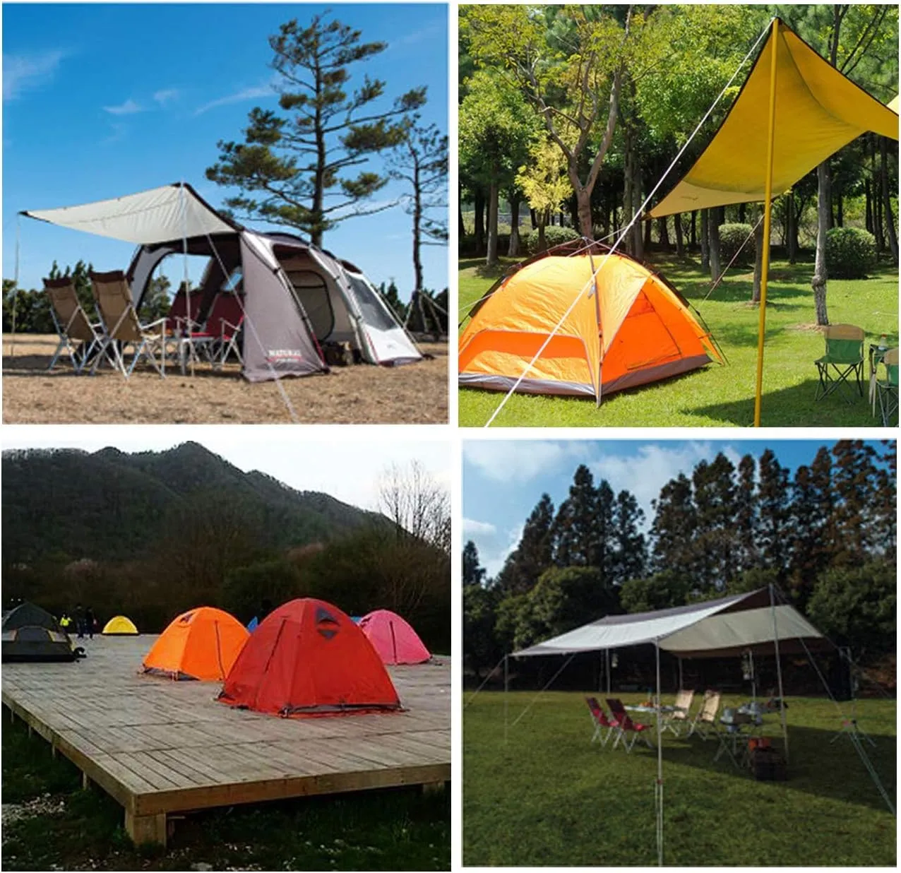 BSGB 43PCS Aluminum Alloy Fish Bone Anchor Deck Plank Board Tent Stakes D Carabiner Wind Rope Buckle 3 Hole Guyline Adjuster Tent Cord Rope Tensioner Alligator Camping Tent Awning Tarp