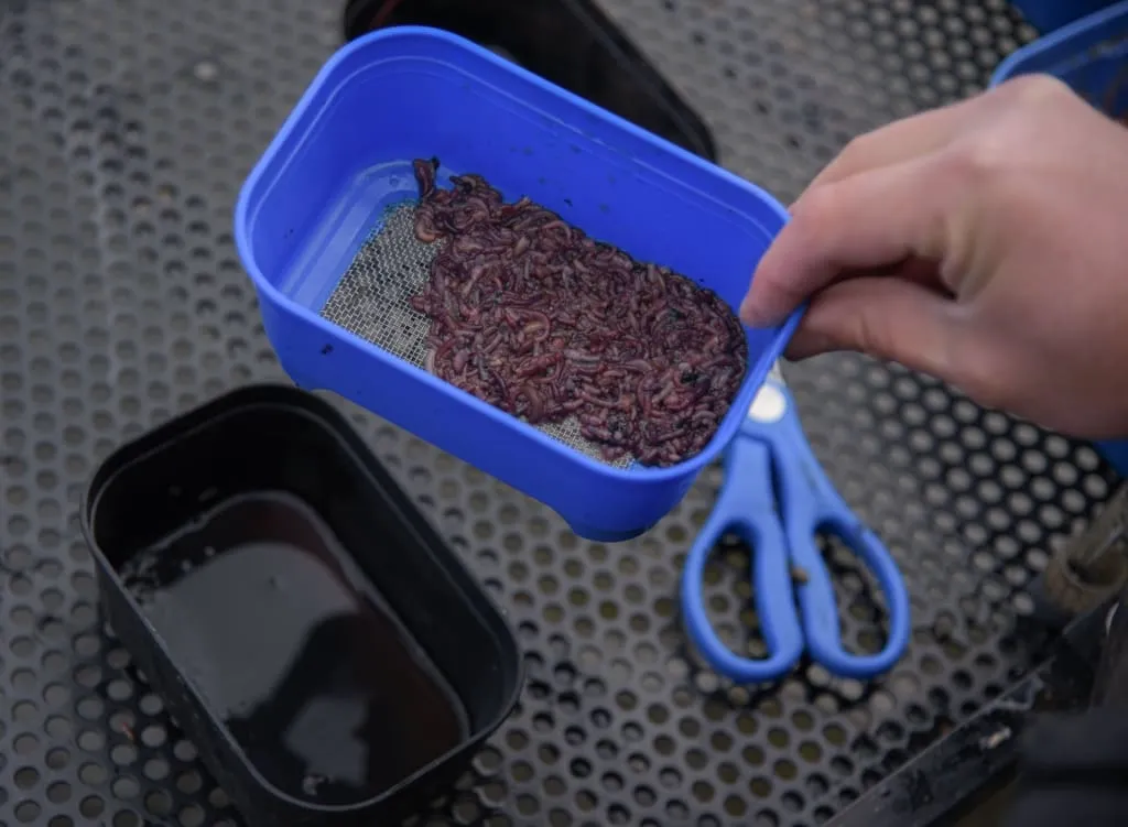 Cresta Bait Strainer
