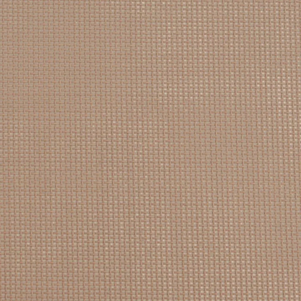 Folding Beach Chairs 2 pcs Taupe Textilene&Powder-coated Steel
