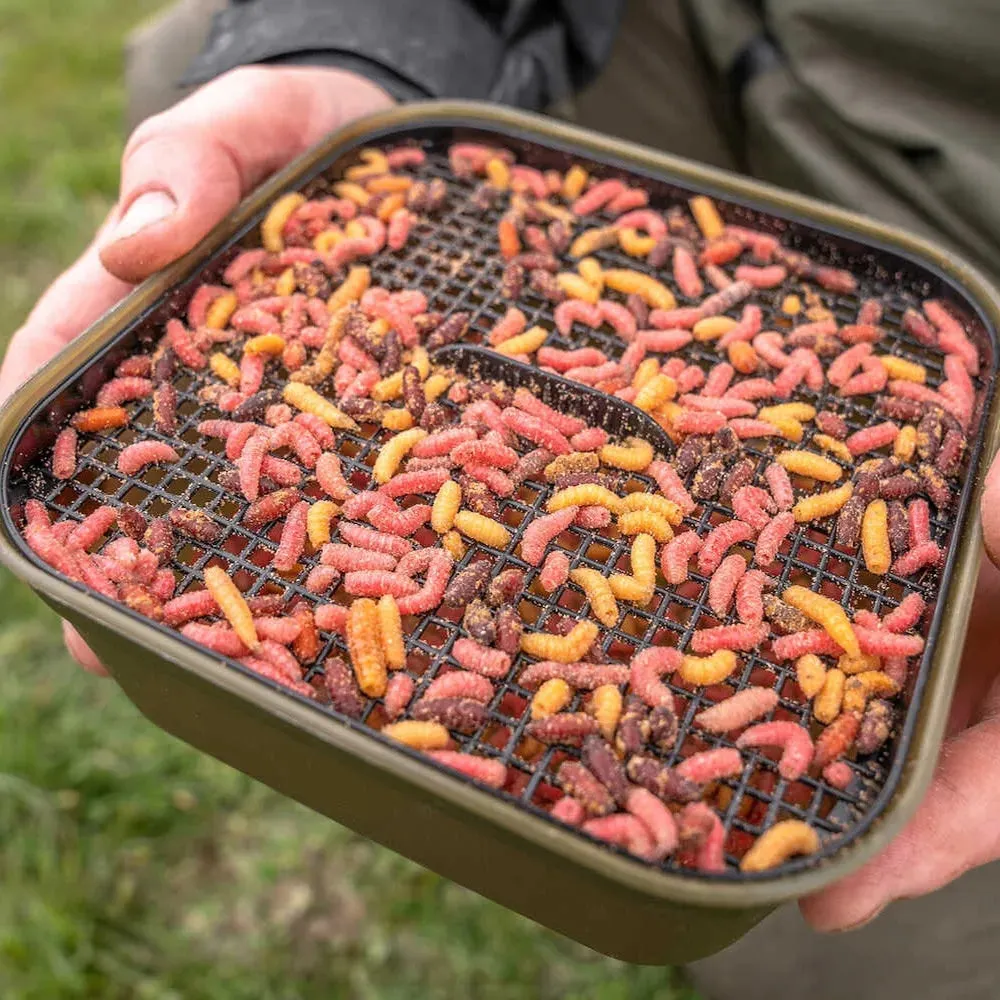 Korum Maggot Tub 2 Pint & Riddle 1.2l