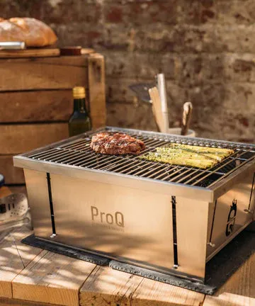 ProQ FLATDOG PORTABLE CHARCOAL GRILL